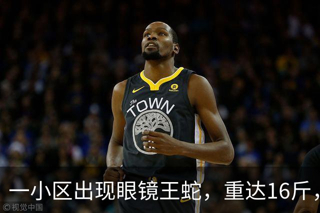 一小区出现眼镜王蛇，重达16斤，就在居民窗外游走，消防：是世界上体型最大的前沟牙毒蛇
