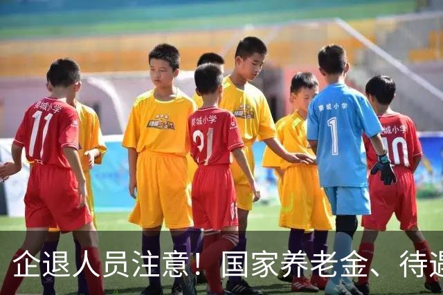 企退人员注意！国家养老金、待遇保障规则，大白话一次性说清