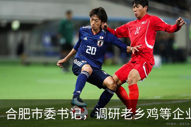 合肥市委书记，调研老乡鸡等企业