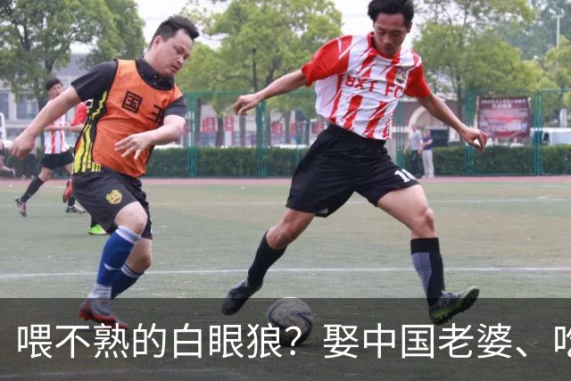 喂不熟的白眼狼？娶中国老婆、吃23年中国饭的他，竟公然抹黑中国