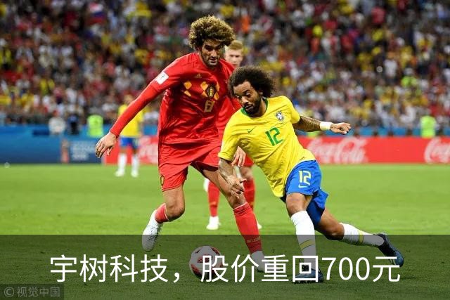 宇树科技，股价重回700元