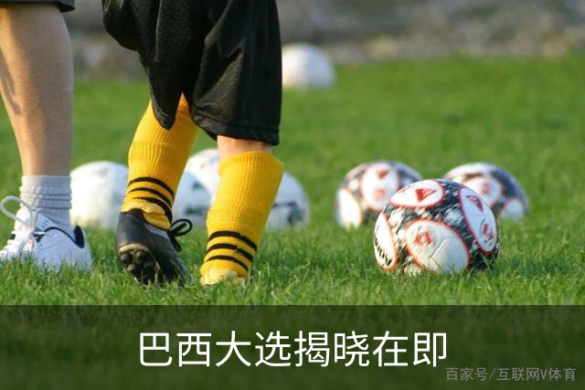 巴西大选揭晓在即