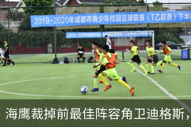 海鹰裁掉前最佳阵容角卫迪格斯，腾出一个名额