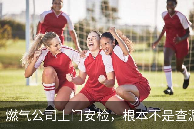 燃气公司上门安检，根本不是查漏气！真正目的其实是这三件事