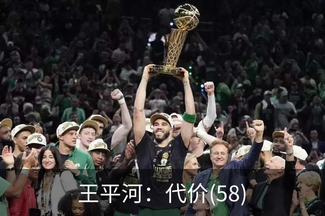 王平河：代价(5/8)