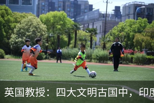 英国教授：四大文明古国中，印度与埃及还在，为何却只承认中国？