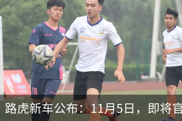 路虎新车公布：11月5日，即将官宣