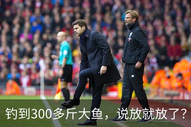钓到300多斤大鱼，说放就放了？
