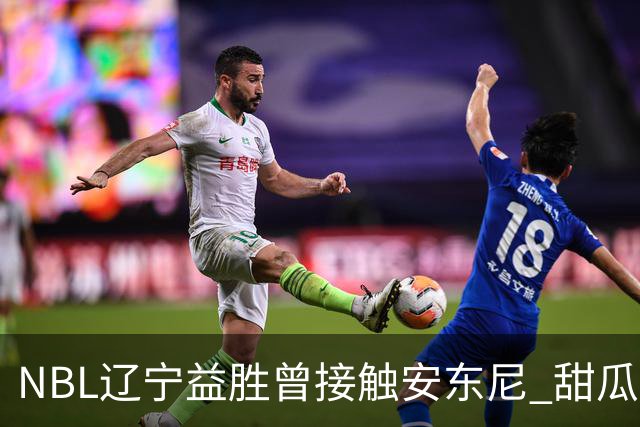 NBL辽宁益胜曾接触安东尼 甜瓜不想去海外打球